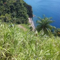 The sea