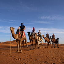 Moroccan Berber Adventure 