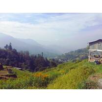 Looking out to misty mountains; there is a tiny white house on a green hill with yellow flowers on the right side of the photo