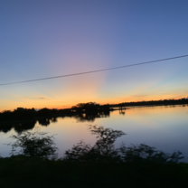 Sunrise safari Sunrise