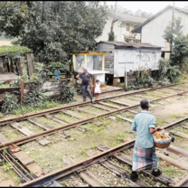 Train to kandy Train tracks
