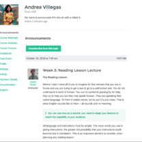 Online TEFL course assignment example