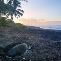 Teach in Costa Rica 