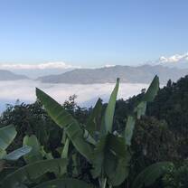 The views 
