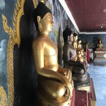 I remember a few weeks into Spain (our first country), realizing what Global U was actually like, and thinking “Wow, Global U was made just for me!”  I had background with programming, as I am studying Computer Science in college and never would have thought I would find a program that is tailored for exactly what I am all about and want to do with my life. I got into Computer Science with missions in mind, wanting to work remote and solve problems, and I couldn’t believe that I was led to this program and then once in it, experiencing the perfect thing for me—other people who are passionate about combining the business and entrepreneurship (a new love of mine I didn’t think I would have) with pursuing Jesus, and a staff that is so FOR YOU and your GROWTH. I thought I was mostly alone in this, but there are others my age running after the hard things in life!  It’s bringing me a smile to think about it now—how God brought together our group and made us into a tight knit community in a space that is so well fo Thai Buddhist Temple