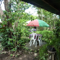Inside the school