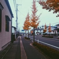 Aomori