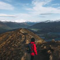 Working Holiday in New Zealand 