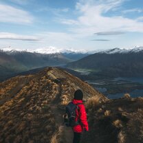 Working Holiday in New Zealand