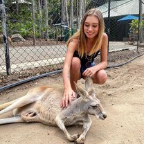 Hand feed Kangaroos in your first week.  Working Holiday in Australia