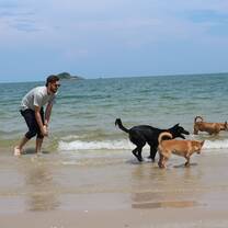Teach in Thailand (Hua Hin)