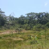 behind the centre