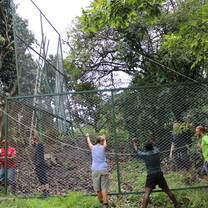 Sloth & Wildlife Rescue Sanctuary Volunteer Trip