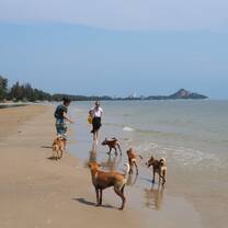Teach in Thailand (Hua Hin)