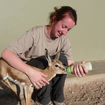 Big 5 African Wildlife & Conservation