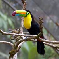 Teach in Costa Rica 