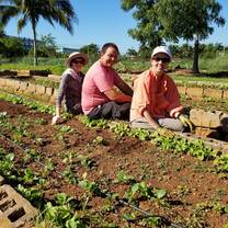 Work in community gardens alongside Cubans. 