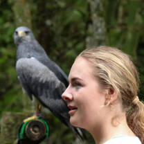 Wildlife rehabilitation in Ecuador