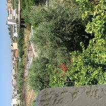 Our view from the balcony