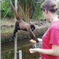 Wildlife rehabilitation in Ecuador