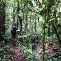 Wildlife rehabilitation in Ecuador