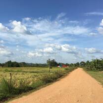 the gorgeous Red Road view!