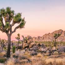 Western USA