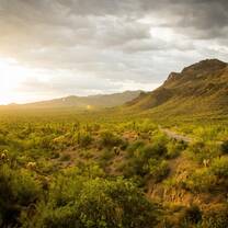 Desert landscape