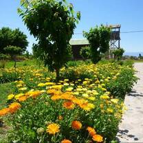 Farm in San Juan