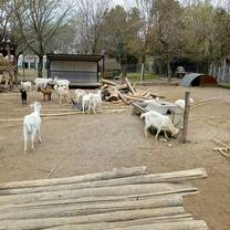 Farm in Zarate