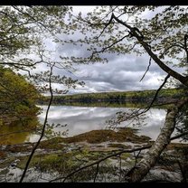 Nature 