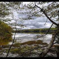 Nature 