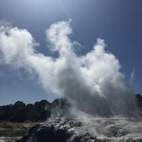Rotorua Geyser