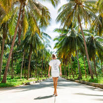 Koh Phangan Palms