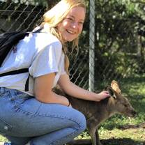 Up close look at Kangaroo Joey at the Lone Pine Koala Sanctuary 