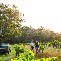 Port Stephens Vinyard