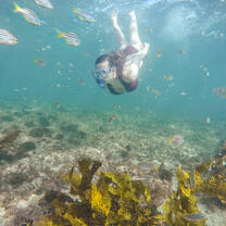 Snorkelling 