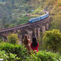 Ella Train