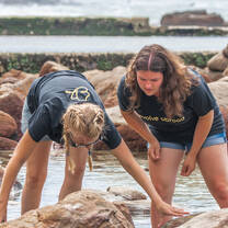 Environmental science interns sampling 