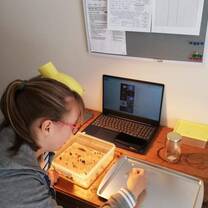 Marine science virtual interns at work