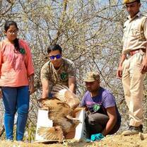 Animal & Environmental Conservation in Jaipur
