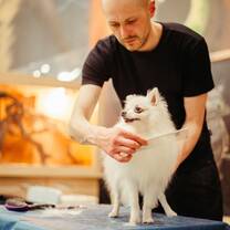 Work in a grooming parlour for pets 