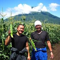 Farm Work in Japan 