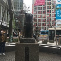 Hachiko in Shibuya 