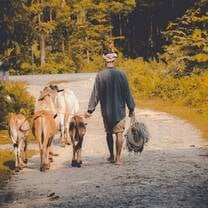 Farm Work in Rural India