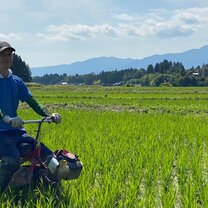 Farm work on a Japanese rice farm