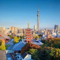 So much more than neon lights and robot restaurants, Tokyo is a city of ancient culture, cutting-edge ideas, and thriving businesses.