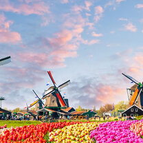 Zaanse Schans windmills