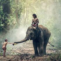 Elephants Cambodia, Kampot, The Red Road Foundation
