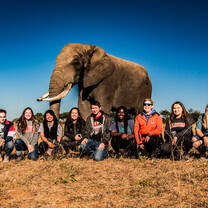 Group in front of an elephant